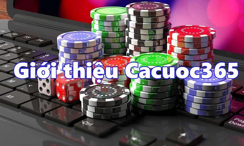Khám phá fanpage truc tiep game hàng đầu thu hút cộng đồng game thủ Việt