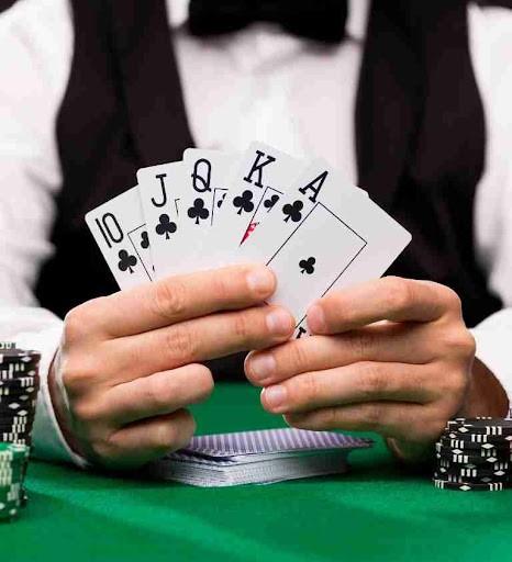 Khám phá thế giới cờ vua kinh dị cùng những ván cờ gay cấn nhất